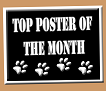 Top Poster Of The Month